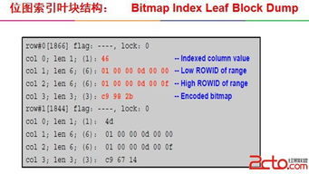 Oracle培訓記錄 從課程選擇到認證成功的完整指南