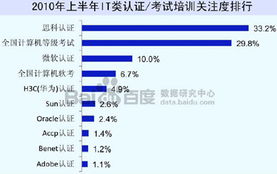 課外培訓行業投資專題 語言培訓品牌機構 it培訓重點機構 中投顧問